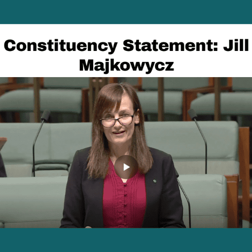 MP Carol Berry delivering a speech in parliament